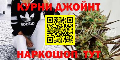 ALPHA PVP Ярославль