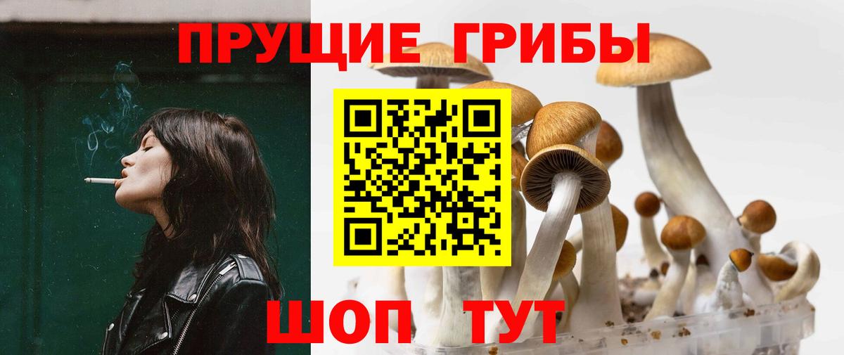 Псилоцибиновые грибы MAGIC MUSHROOMS Елабуга