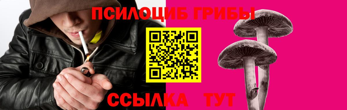 дарнет шоп  Вход с VPN  Елабуга  Псилоцибиновые грибы Psilocybine cubensis 